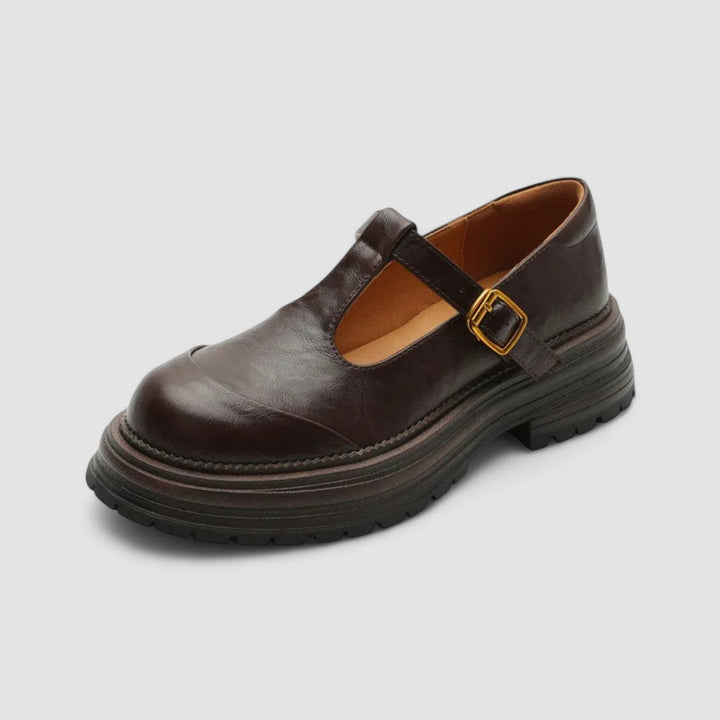 Regina – Chunky Loafers Mary Jane T-Bar Shoes