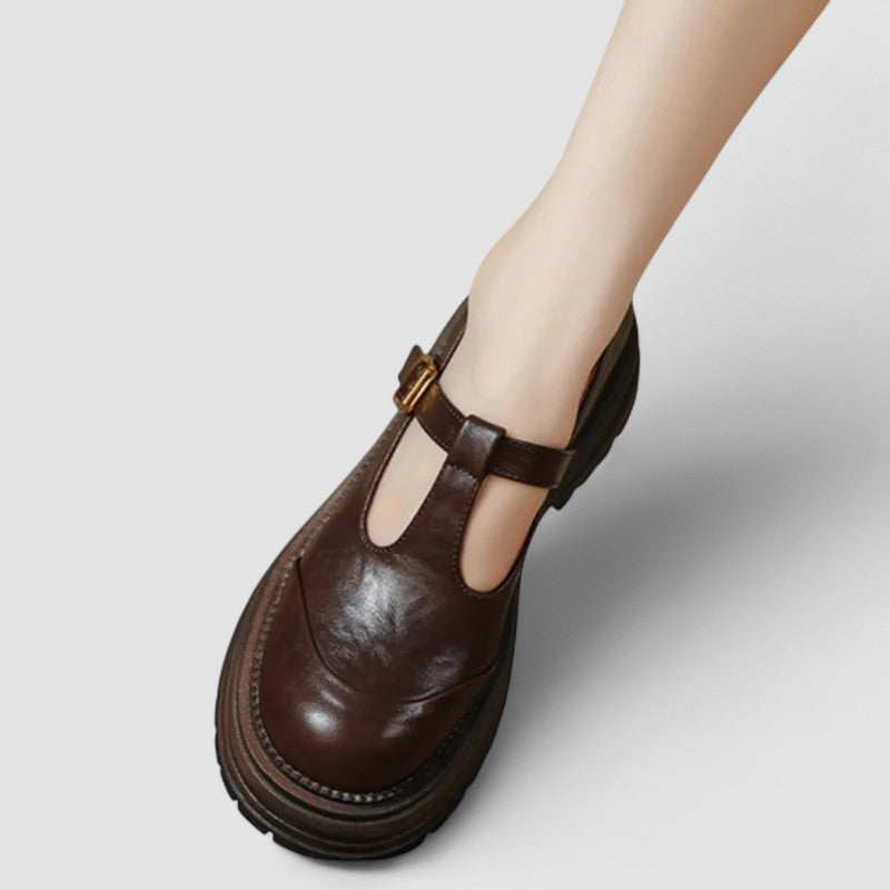 Regina – Chunky Loafers Mary Jane T-Bar Shoes
