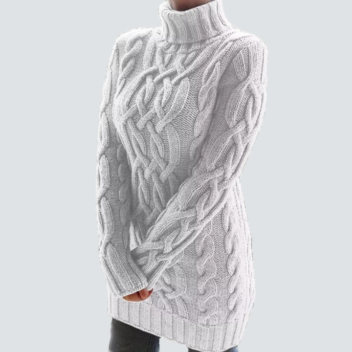 Rae – Turtleneck Chunky-Textured Mini Sweater Dress for Women